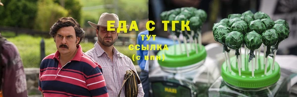 индика Богородицк