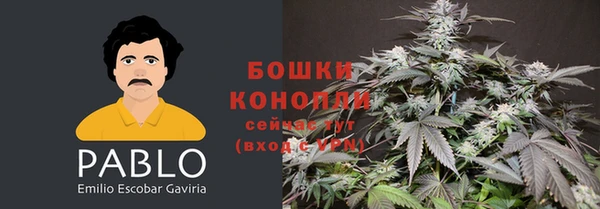 индика Богородицк
