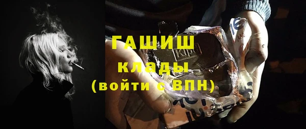 индика Богородицк