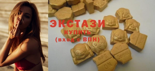 индика Богородицк