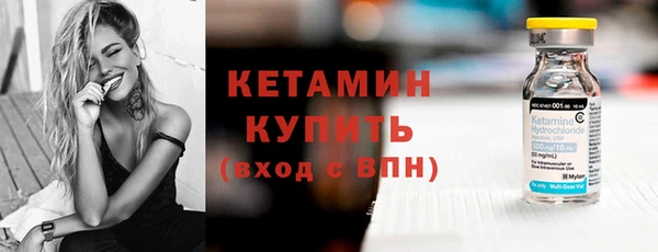 индика Богородицк
