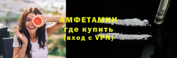 индика Богородицк