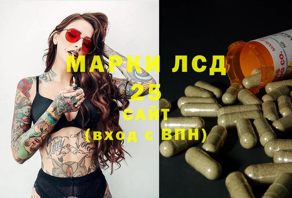 индика Богородицк