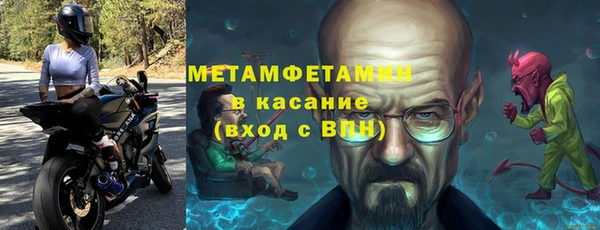 индика Богородицк