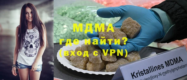 индика Богородицк