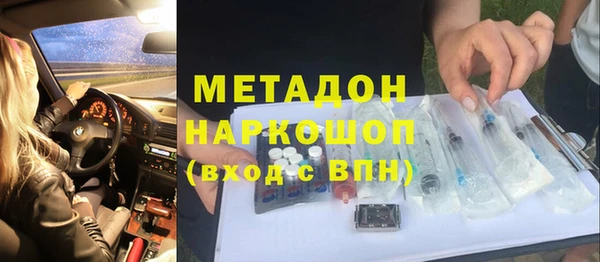 индика Богородицк