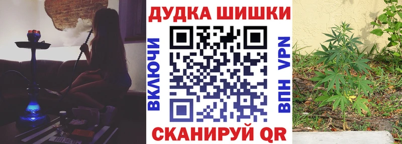где купить наркотик  Красавино  Бошки марихуана тримм 